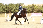 SBM_009480