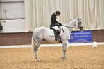 Class 8 - Novice 5 portfolio