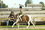 SBM_67654