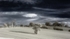 Briar Edge IF _0411