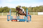 SBM_002562