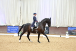 SBM_005381