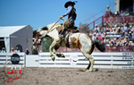 3HRodeo_CFD_JUL_18_2026_03797