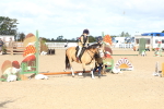 SBM_09146