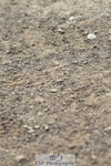 230817-095058-01678