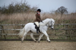 SBM_006016
