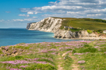 z3623 Colours of Spring, Tennyson Down