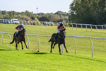 300926-Race 1-Bladey Lady-5816