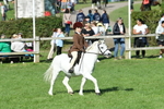 SBM_50387