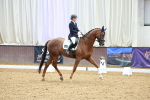 SBM_003964