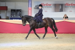 Class 4a Area Ridden Diamond portfolio