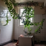 St Georeges Asylum (morpeth) portfolio