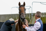 Race 4 3.35pm Pertemps Network Yorkshire Oaks portfolio