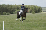 BVHT 140517  NXC -238