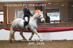BPP_2495