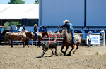 3HRodeo8-11-25_PRCASteer_02752_