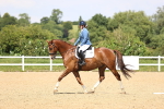 SBM_001995