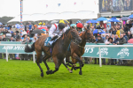150723-Race 4-Hamish-0431