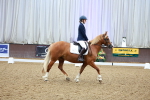 SBM_000431
