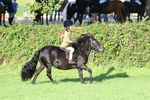 SBM_54065