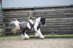 SBM_007977