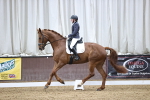SBM_004464