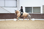 SBM_001706