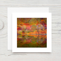 Autumn Reflections