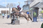 BPP_1575