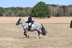 WJ6_8820