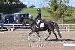 BPP_8781