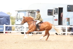 SBM_06796