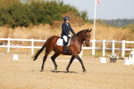 SBM_016654