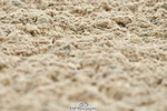 230630A-100934-00277