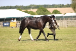 SBM_17927
