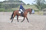 BPP_6278