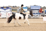 SBM_06091