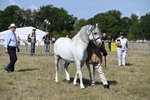 WJ6_4744