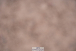 240505A-093936-04299