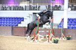 SBM_002129