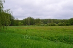 Białowieża, Poland