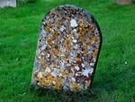 Slinfold Churchyard portfolio