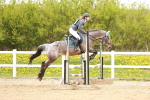 SBM_005462
