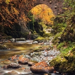 Autumn at Foleys Bridge