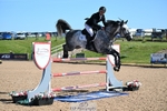 Cls 33, 7yr Old Tour portfolio