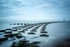 RLP_7990-28