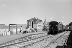 An original photograph by Paul Sandy - paulsandy.co.uk
