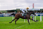 Race 3 2.10pm Download The Raceday Ready App Handicap portfolio