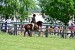SBM_13963
