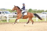 SBM_005620
